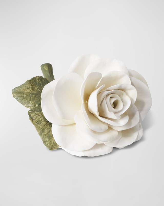 Porcelain Rose, Cream